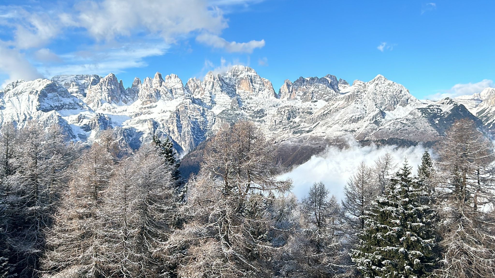 Scenic View 8